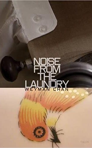 Noise from the Laundry
