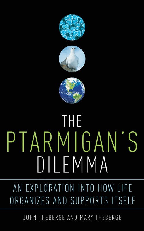 The Ptarmigan’s Dilemma: An Exploration into How Life Organizes and Supports Itself