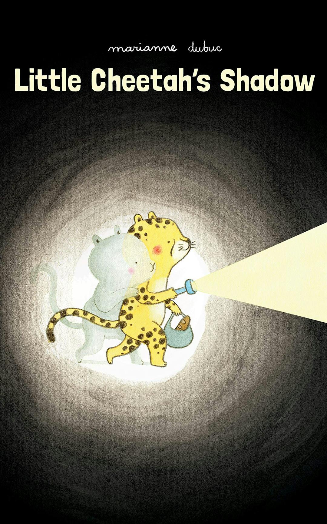 Little Cheetah's Shadow