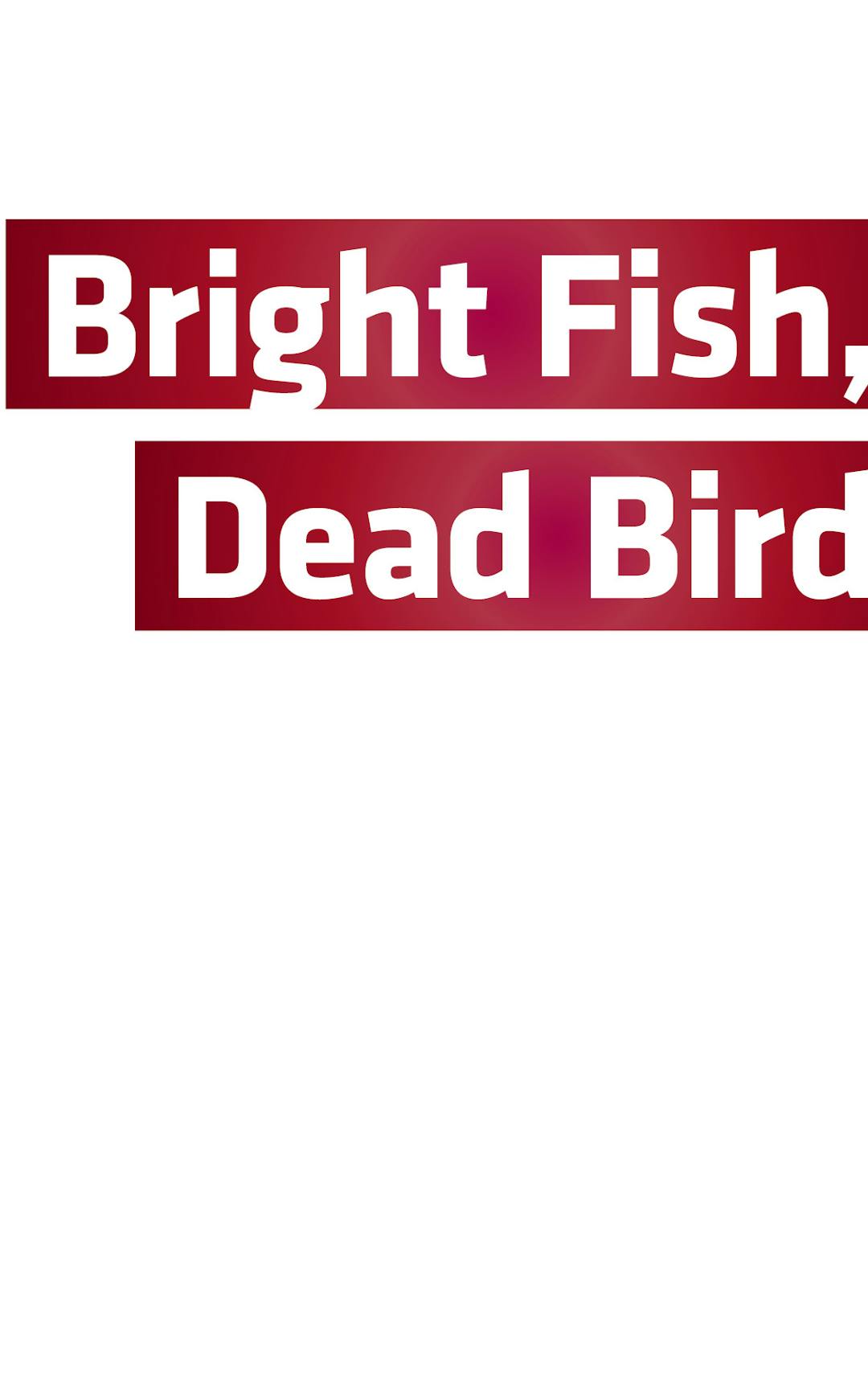Bright Fish, Dead Bird