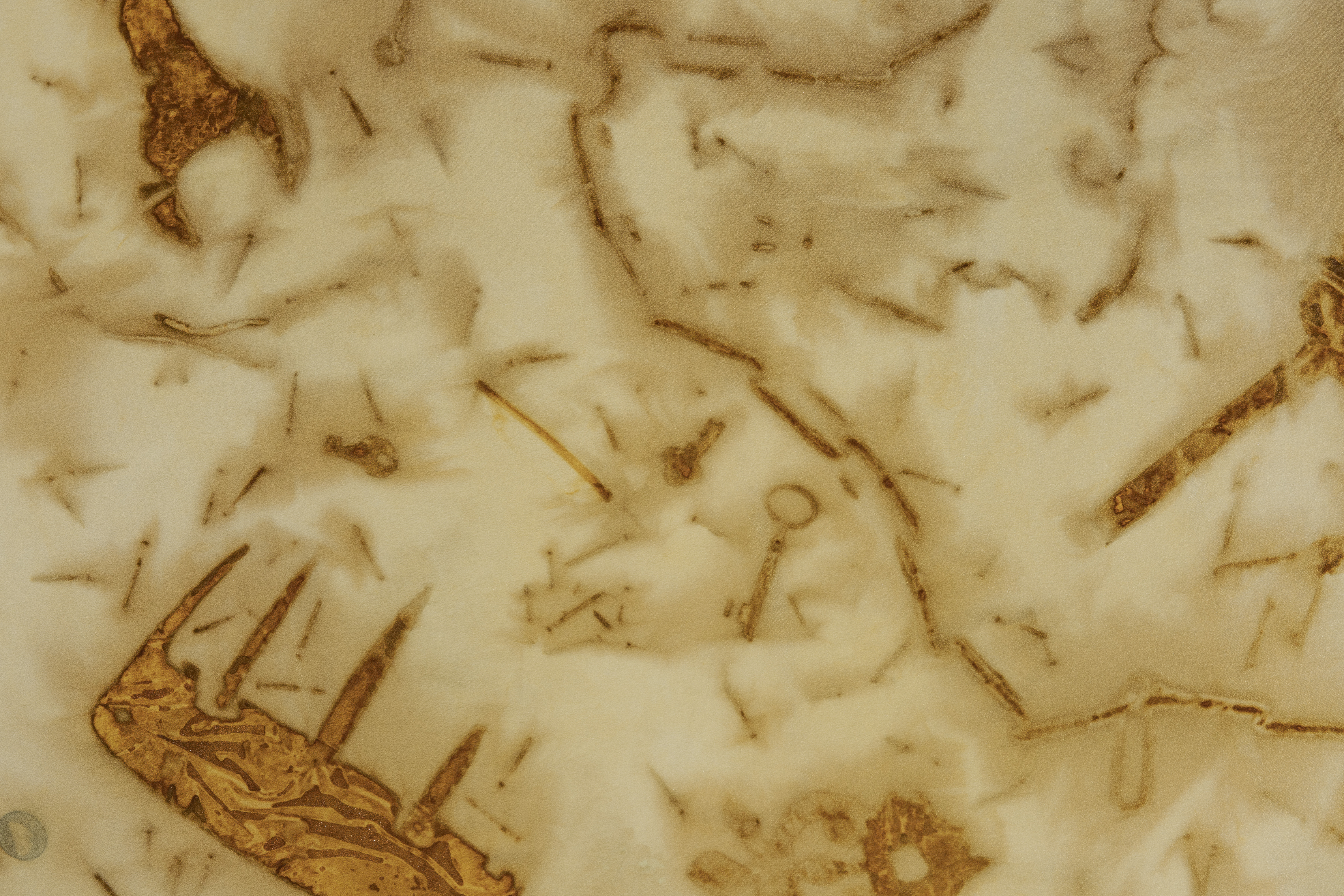 about textile 23aw -sabizome-