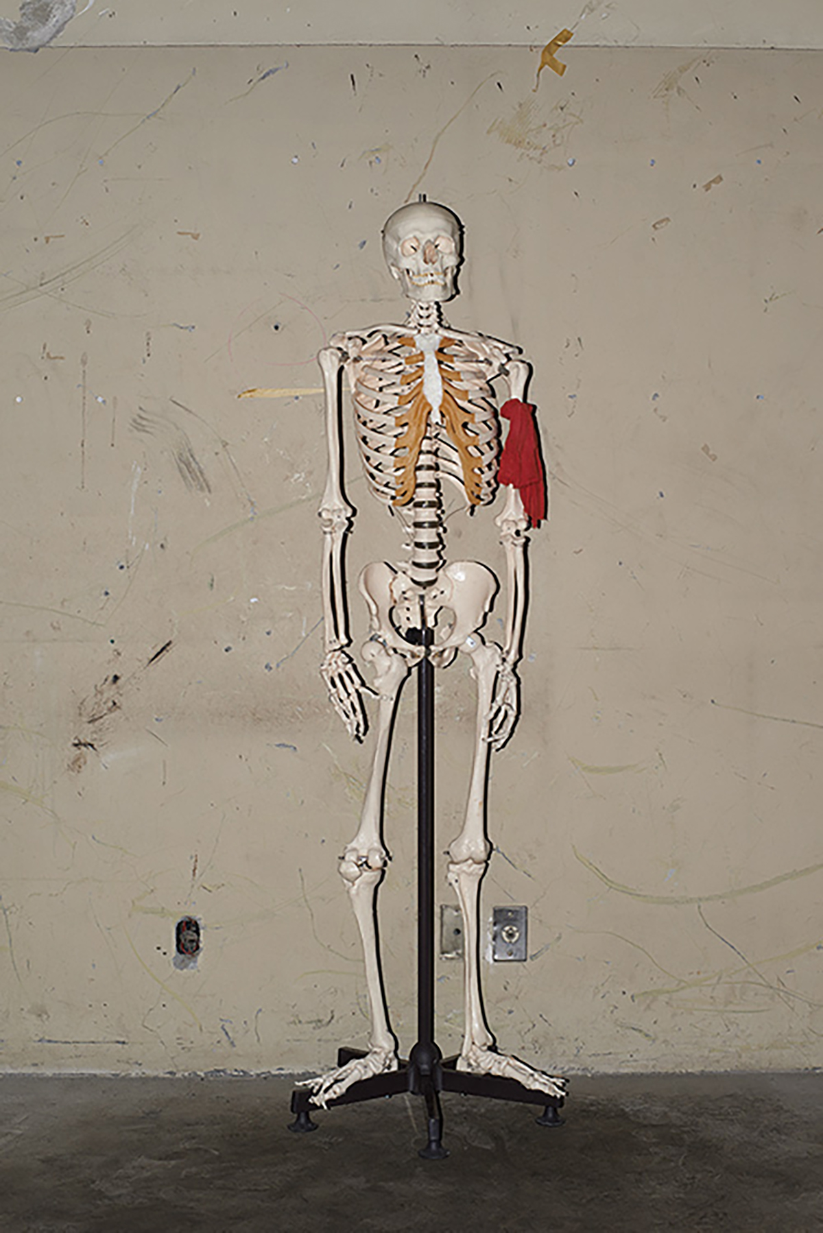 image 17