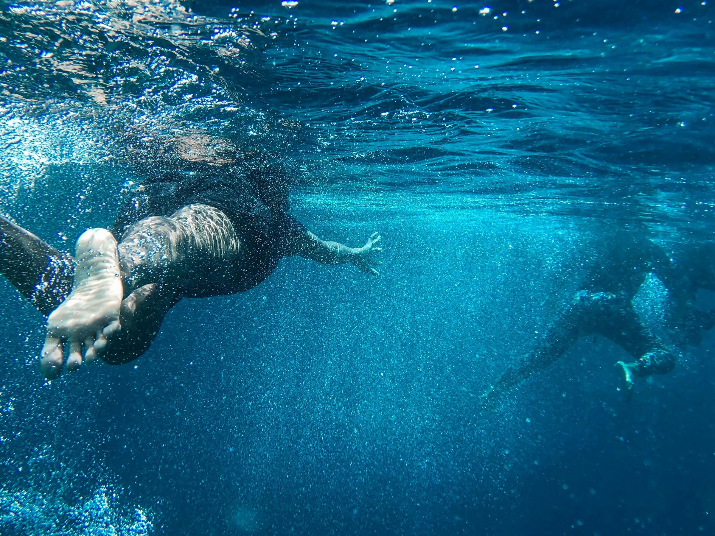 Underwater photo of two people swimming away.