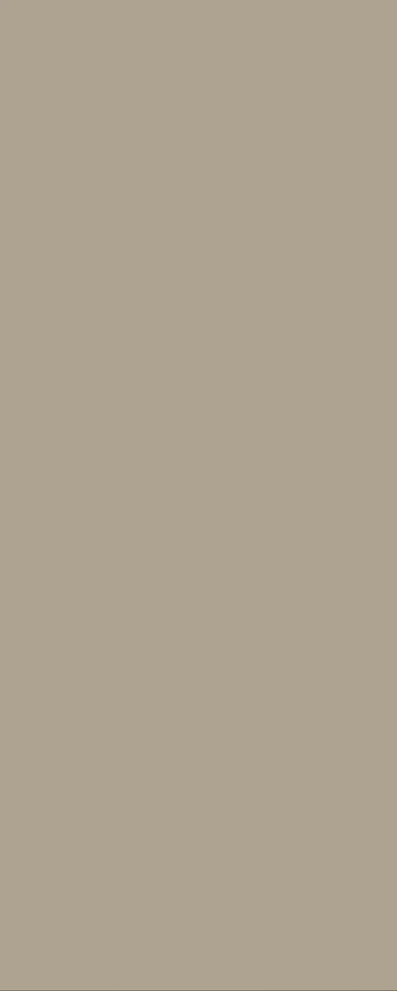SALT International Pro PET Beige Opaco