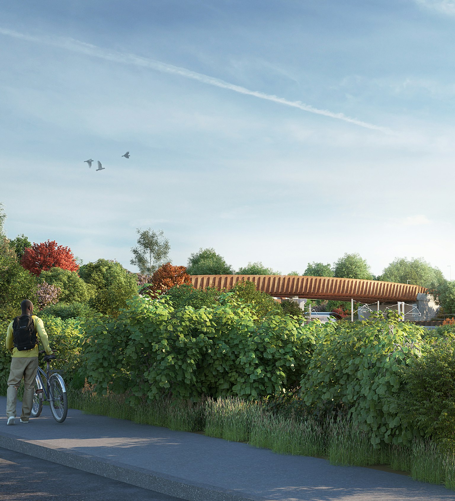 View of Aston Church Road Overbridge showing the rich vegetation that will surround the area