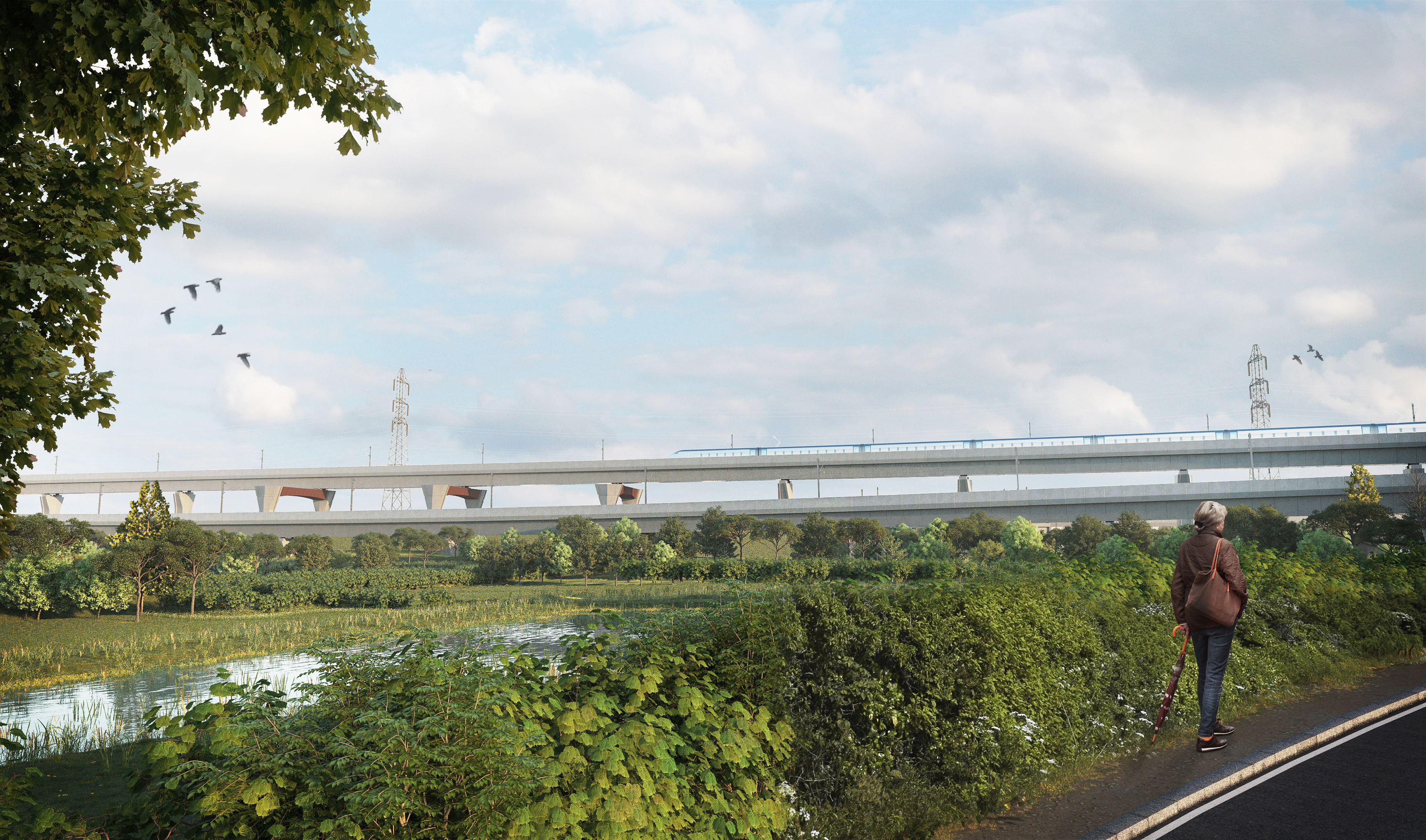 HS2 Water Orton Viaducts | WW+P