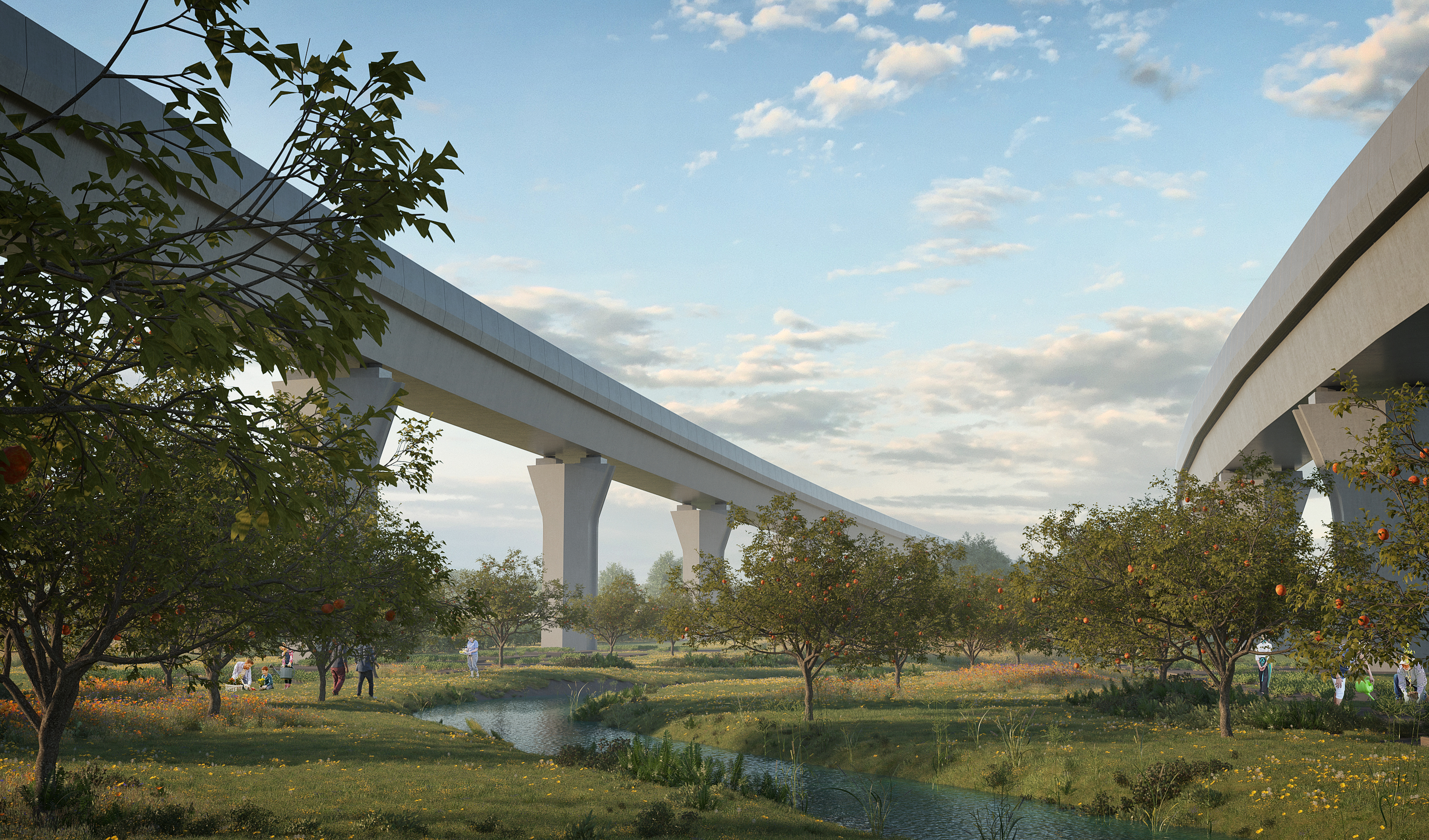 HS2 Water Orton Viaducts | WW+P