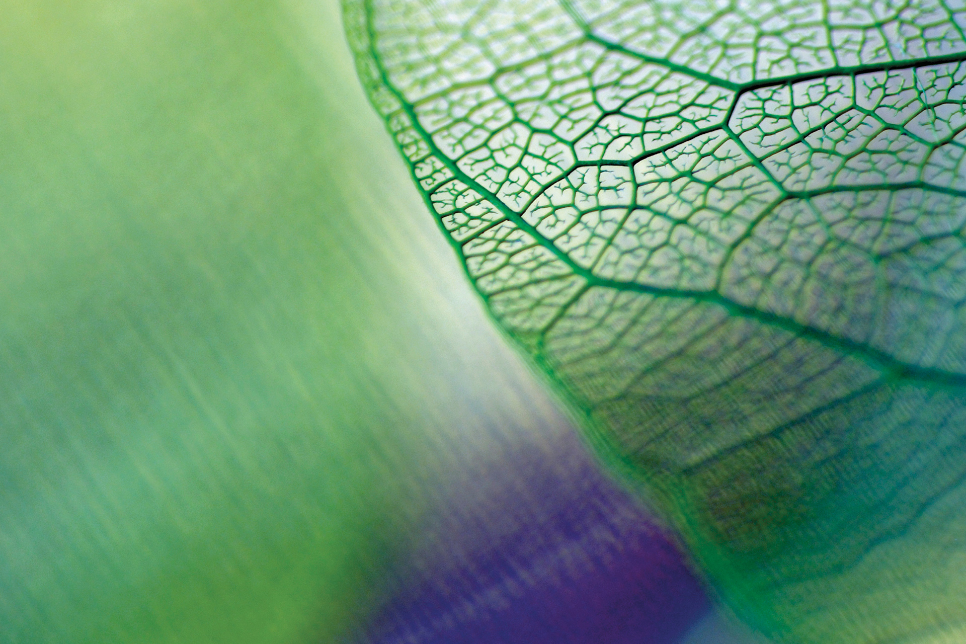 Unlock sustainable insurance