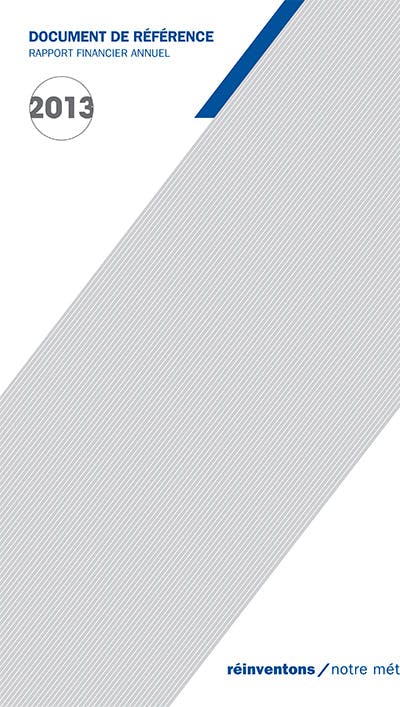Rapport annuel 2013