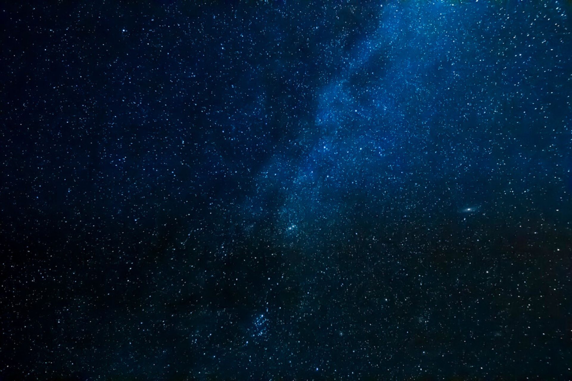 Les entreprises sont des êtres vivants