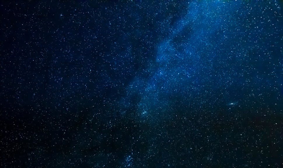 Les entreprises sont des êtres vivants