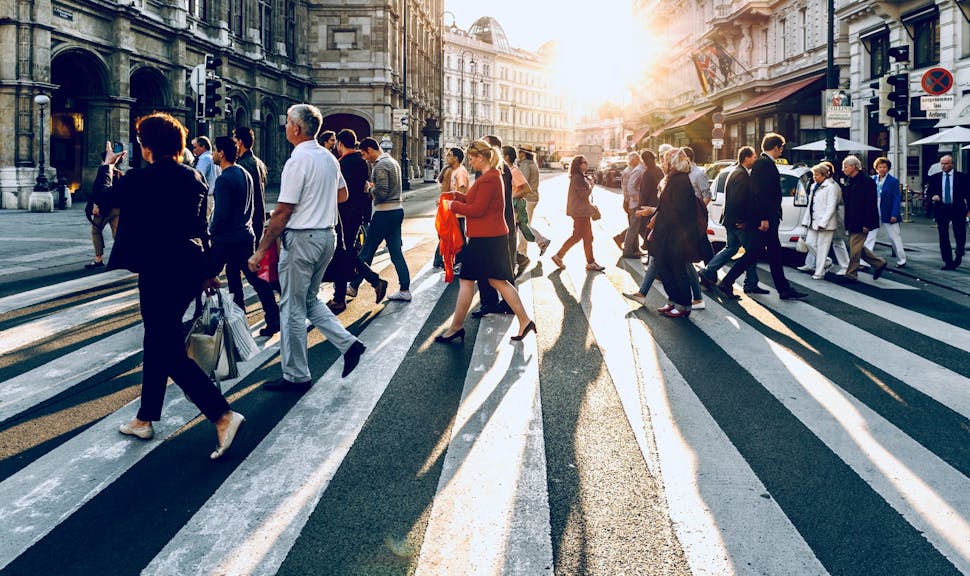 Investment, Inequality, and Societal Resilience