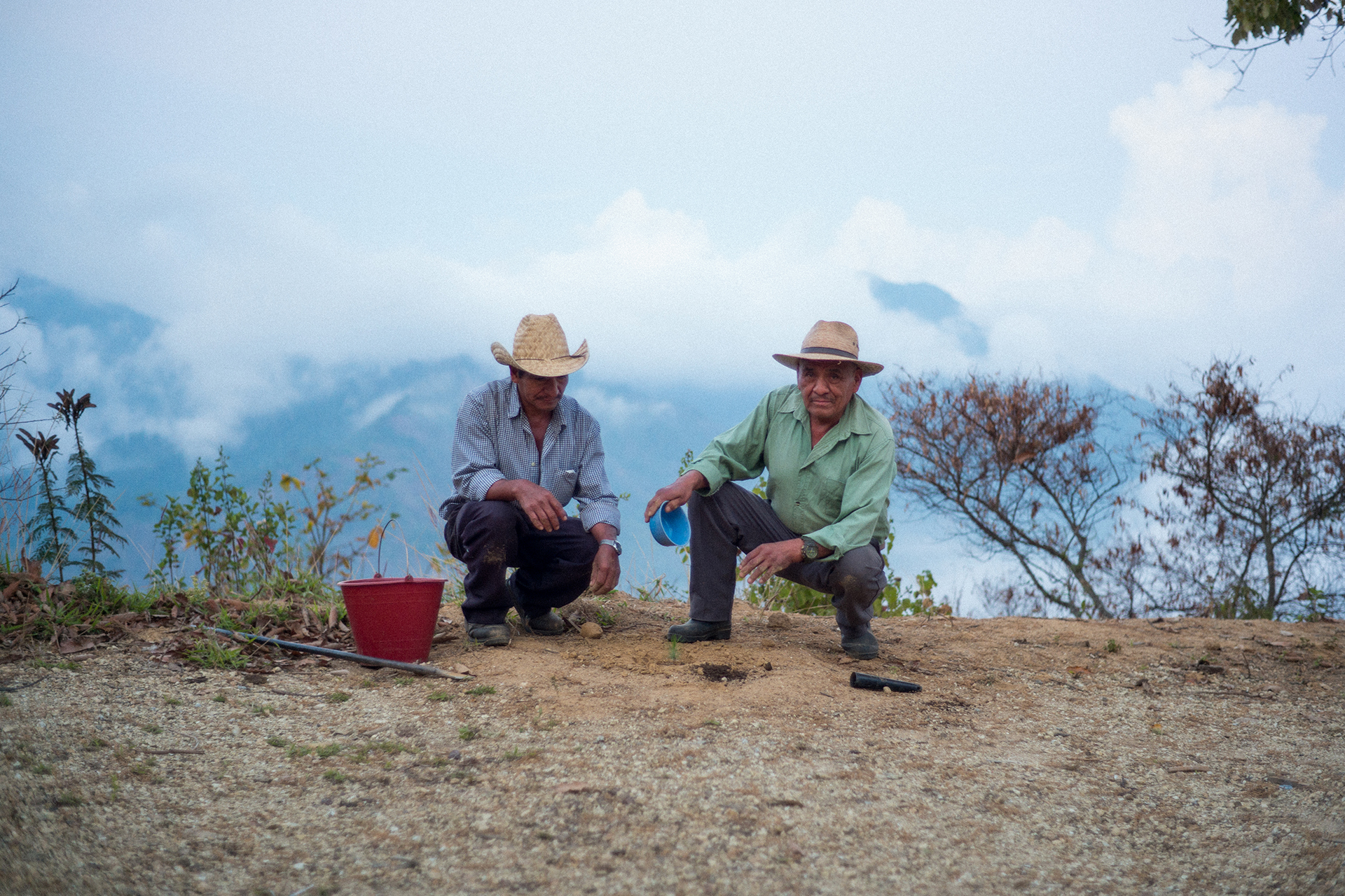 «Les forêts tropicales sèches sont parmi les habitats les plus menacés au monde».