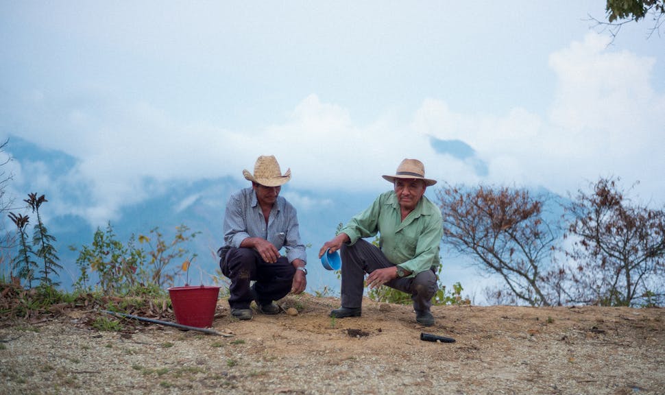 «Les forêts tropicales sèches sont parmi les habitats les plus menacés au monde».