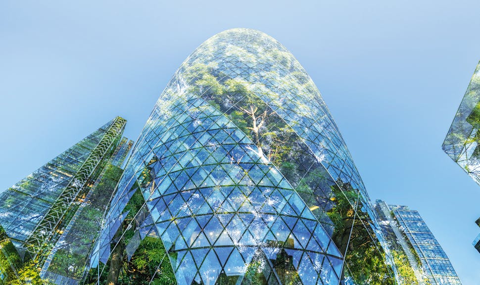 How can we accelerate the transition to address the climate emergency?