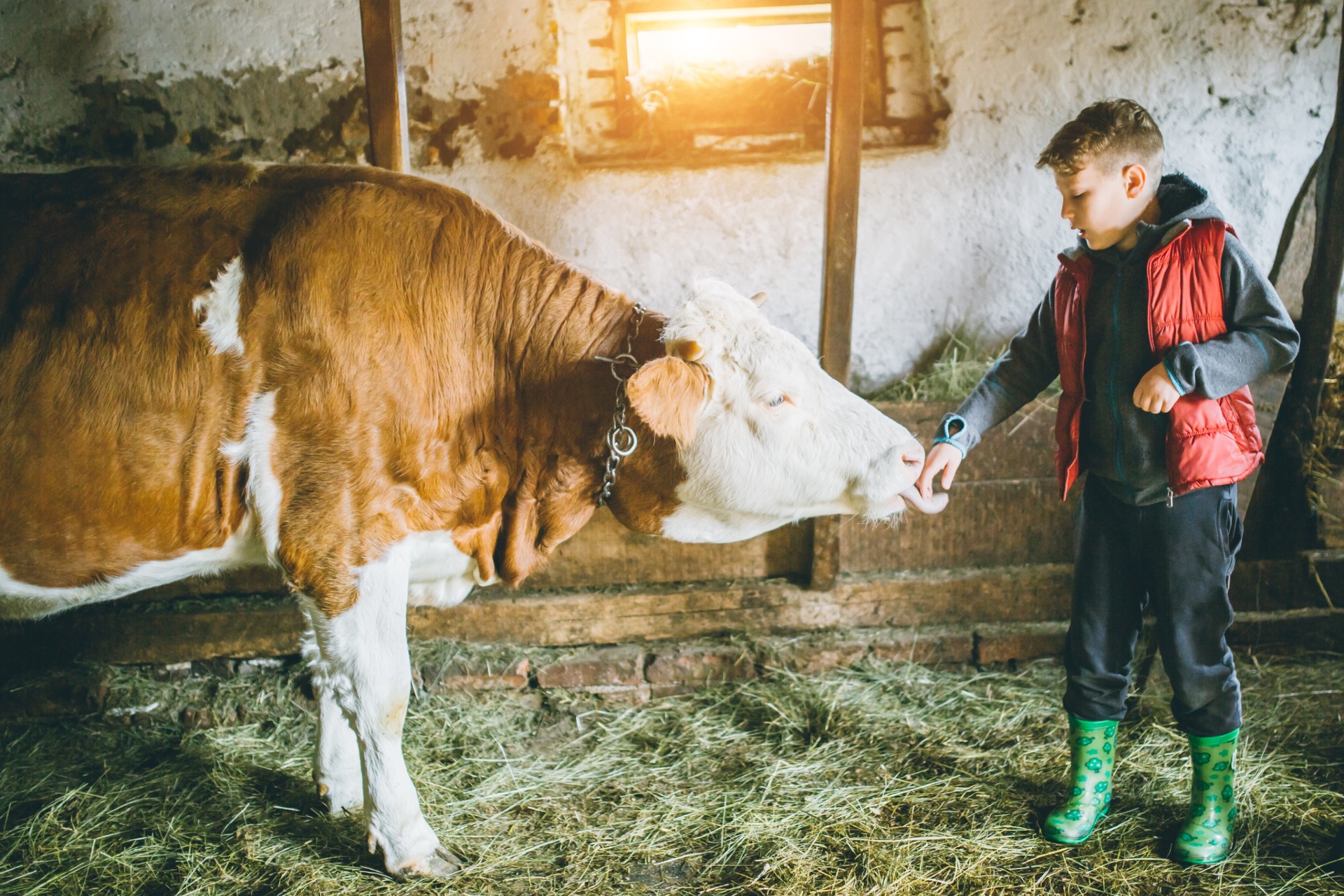 Sustainable Diets: a New Theme on the Menu for Investors?