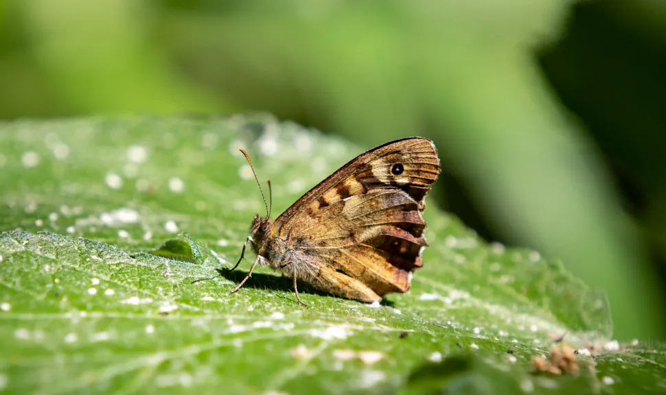 Why Responsible Investing is Good for People and the Planet