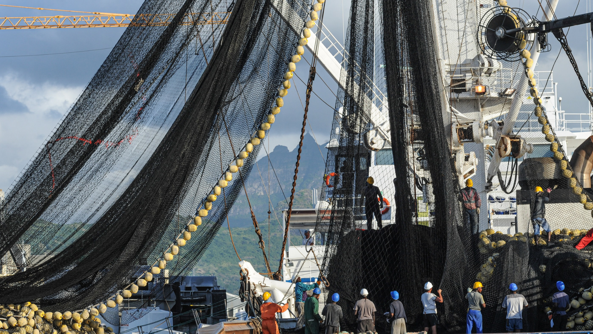 Plenty more fish in the sea? How the insurance industry can help put an end to illegal fishing