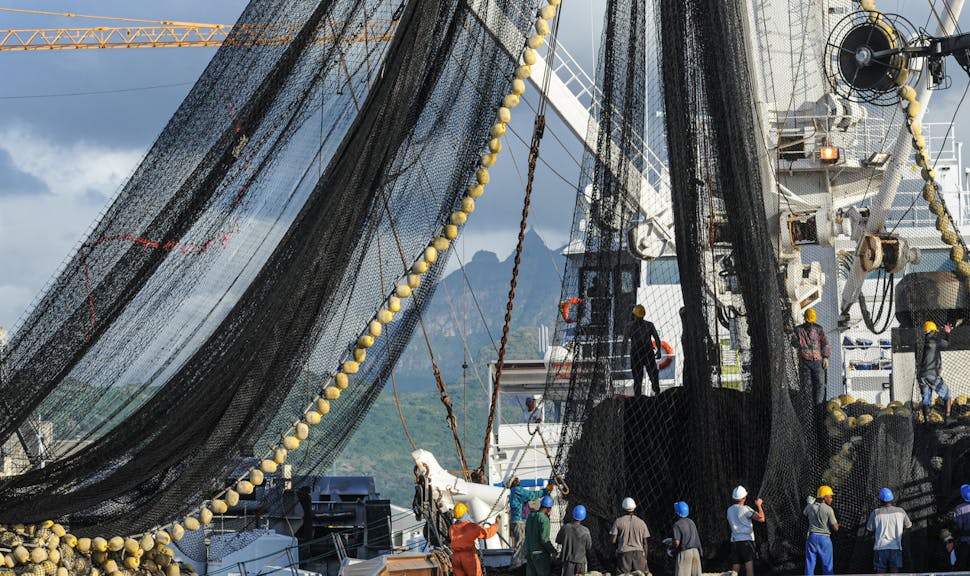 Plenty more fish in the sea? How the insurance industry can help put an end to illegal fishing