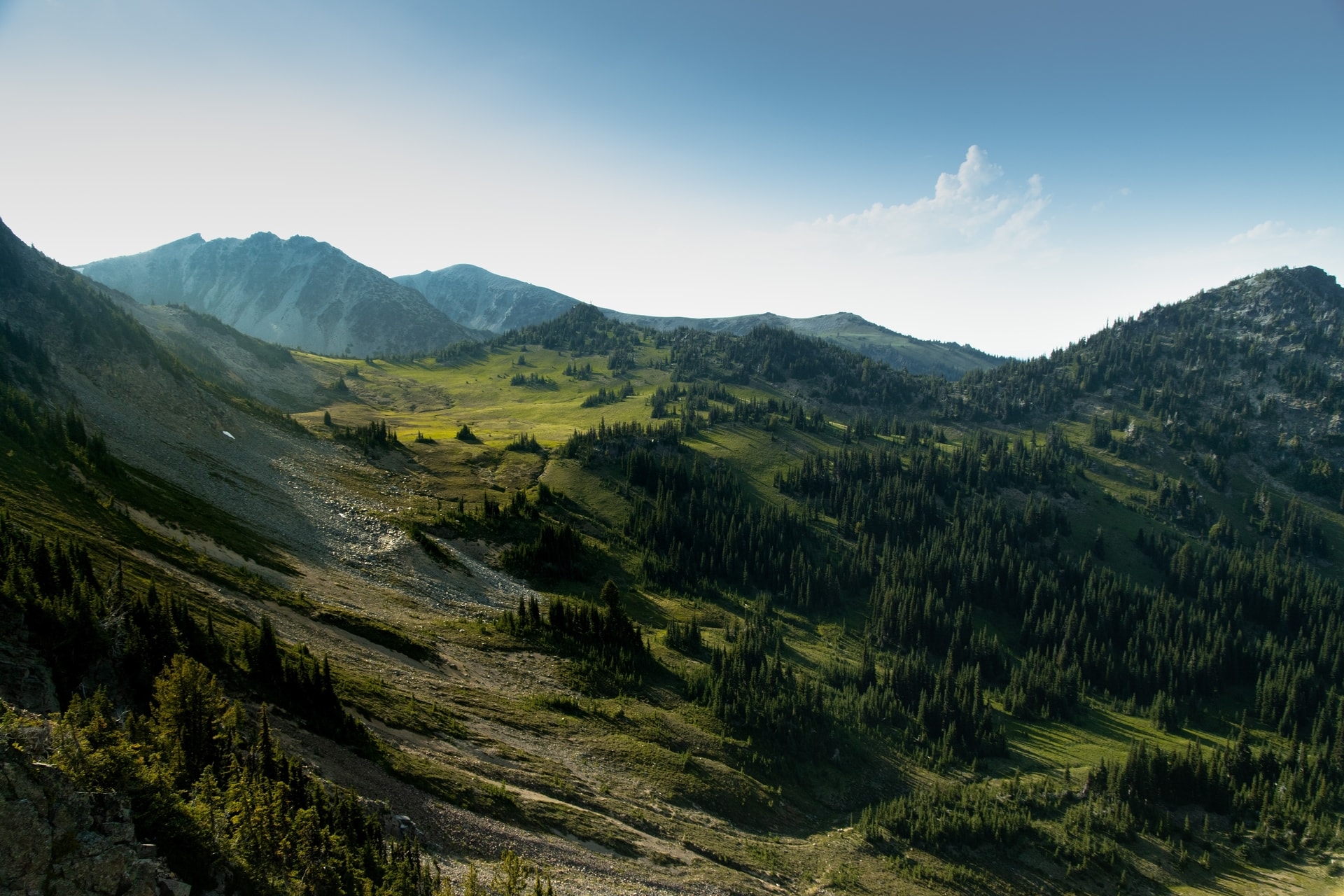 Climate Change and Biodiversity: the Essential Role of Mountain Forests