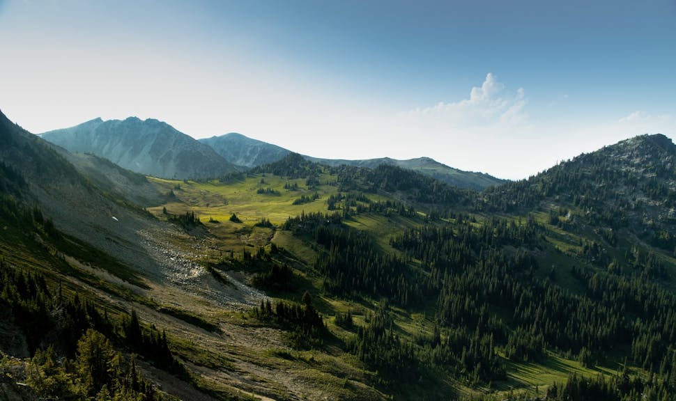 Changement climatique, biodiversité : le rôle essentiel des forêts de montagne