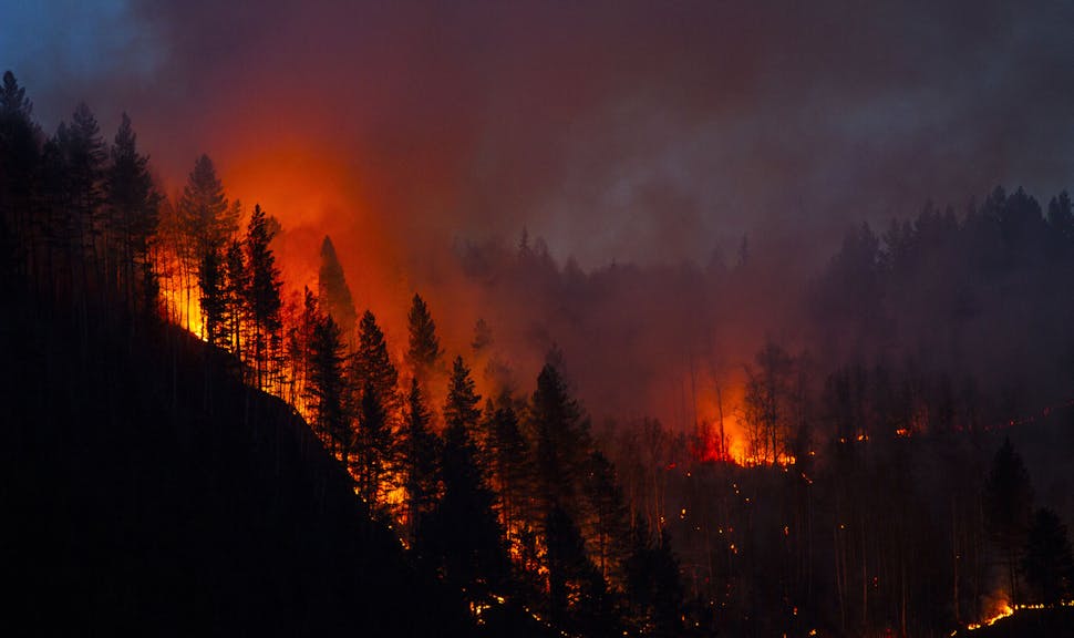Master class « Feux de forêt et climat »