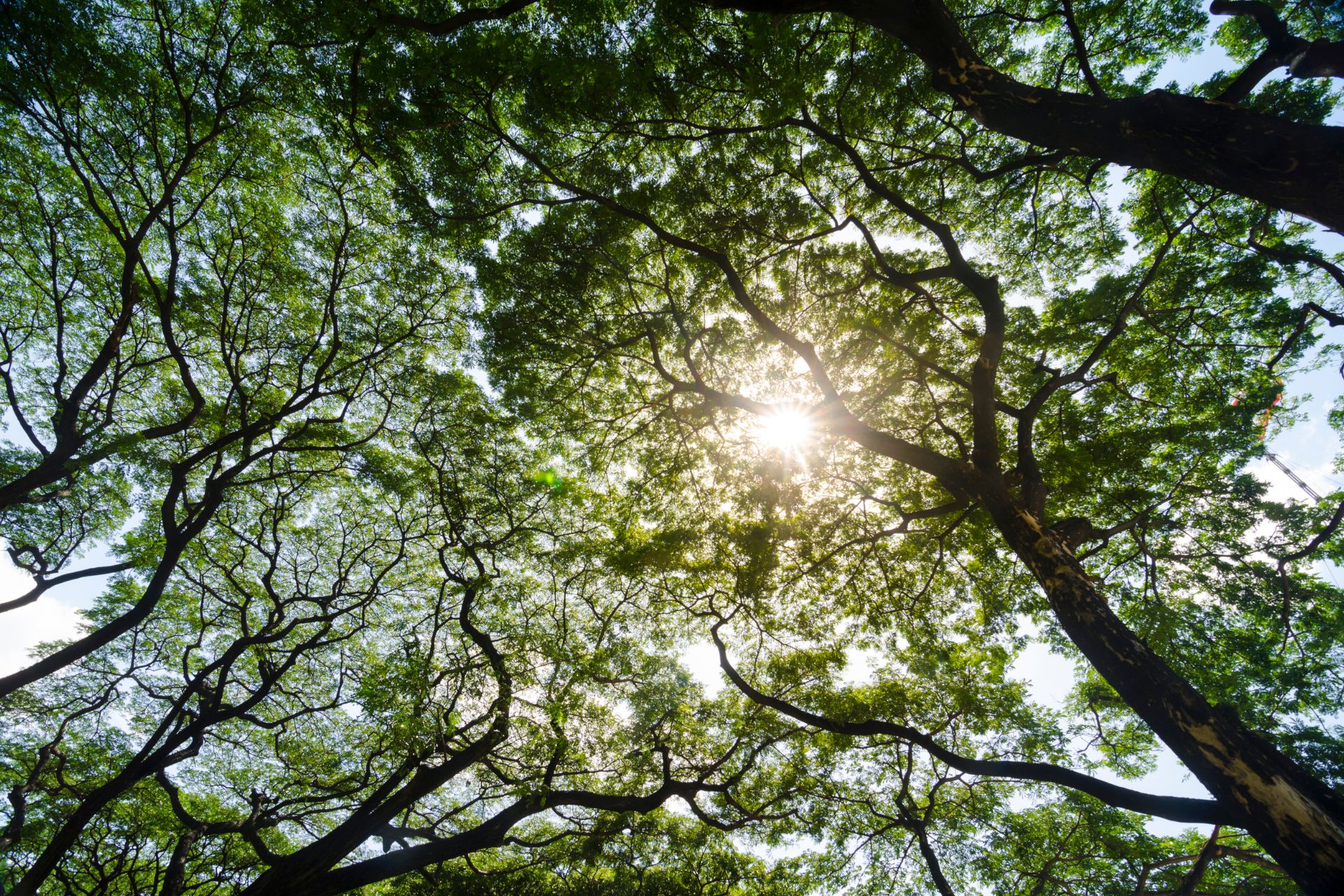 Can the insurance industry afford to ignore computable contracts?