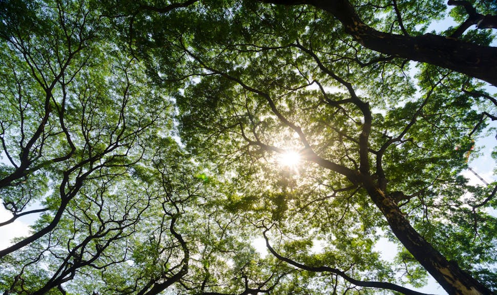 Can the insurance industry afford to ignore computable contracts?