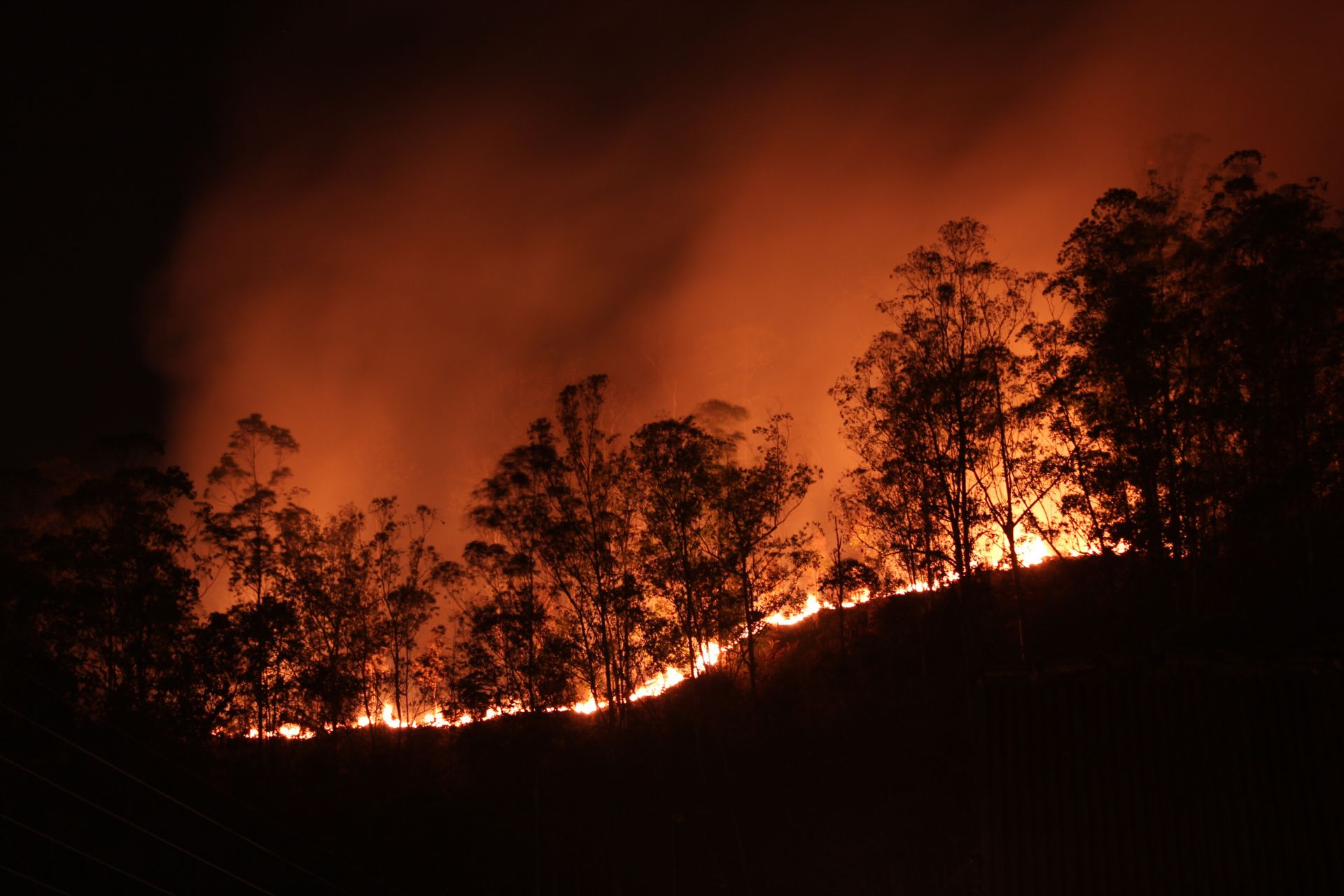 Why are the 'Zombie' fires in Siberia a ticking climate bomb?