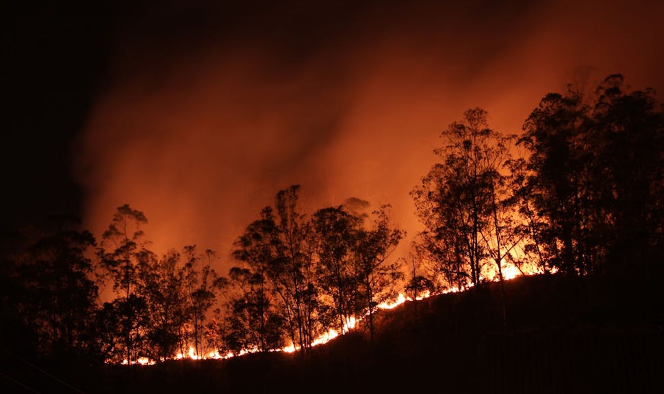 Feux de forêt en Sibérie : une bombe à retardement climatique ?