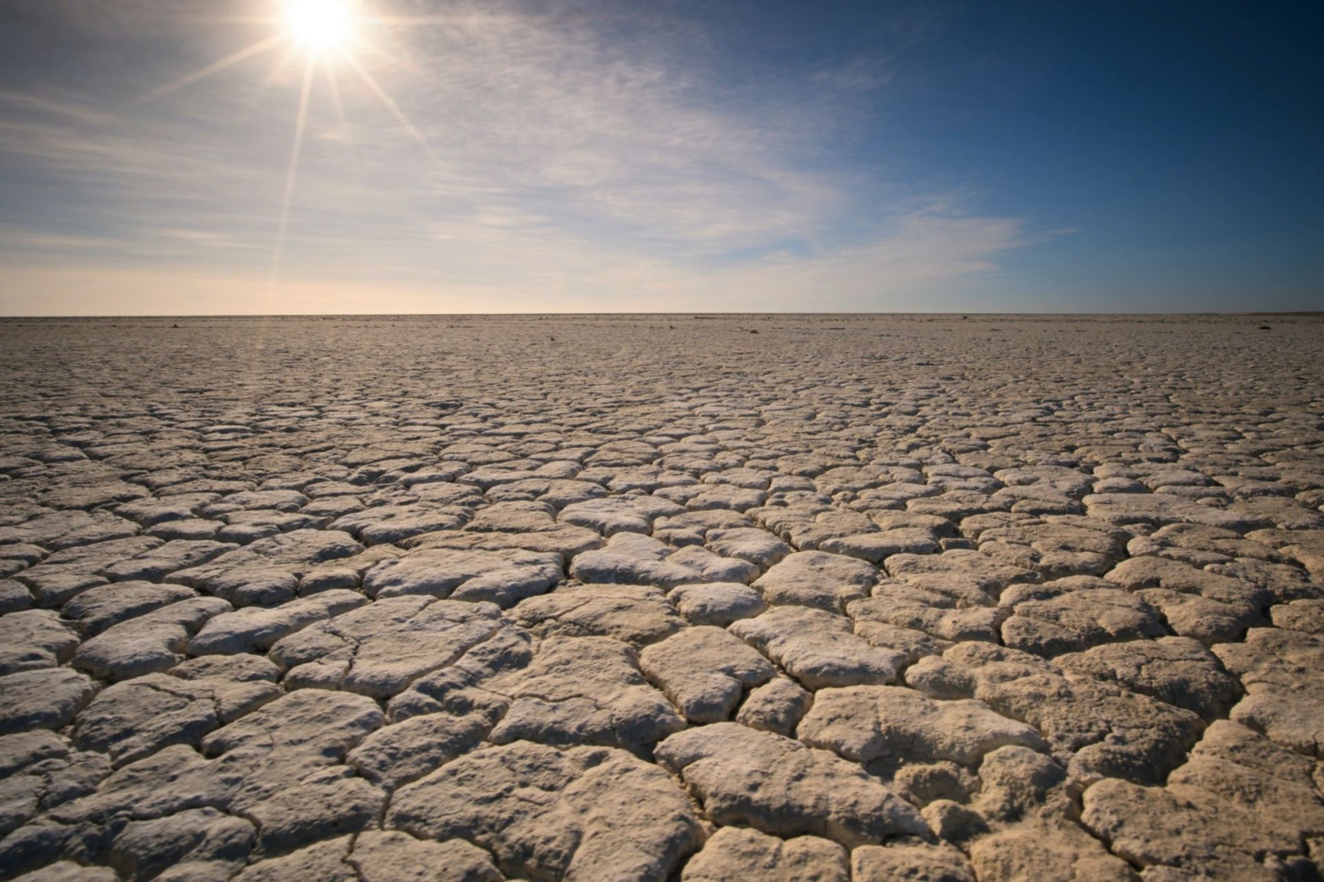 How to live in a dryer world?