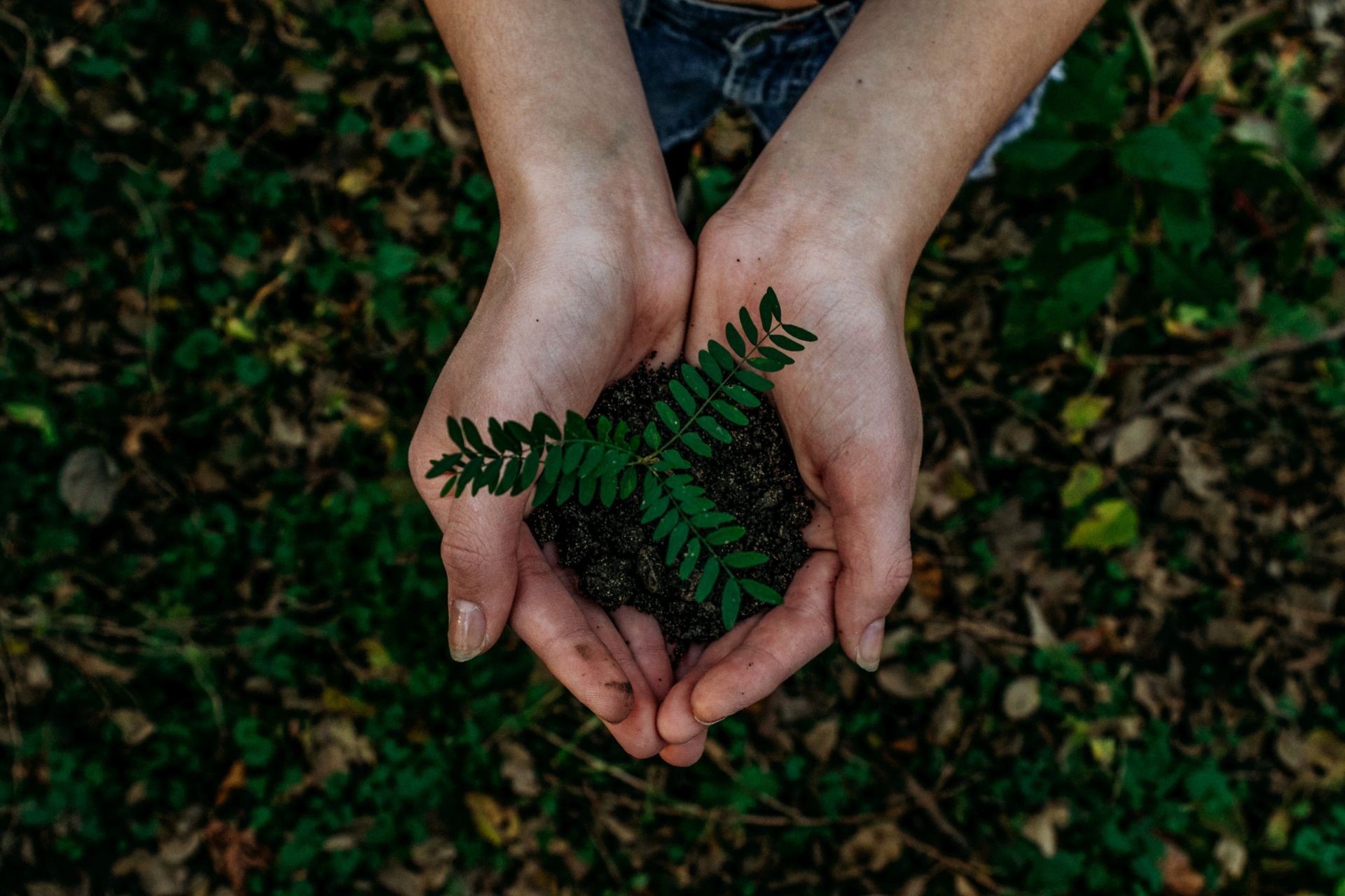 Supporting the ESG transition, the role of insurance in sustainability