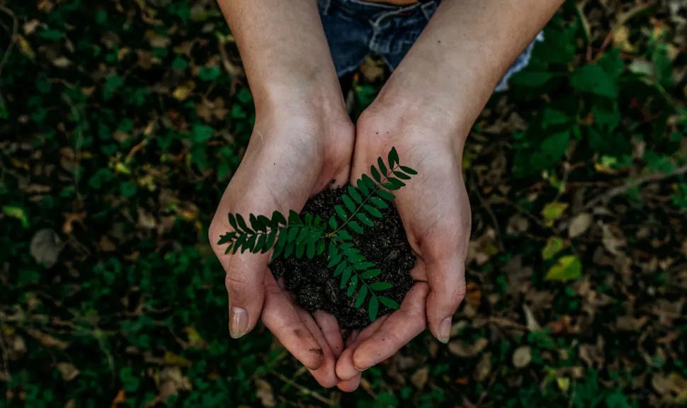 Supporting the ESG transition, the role of insurance in sustainability