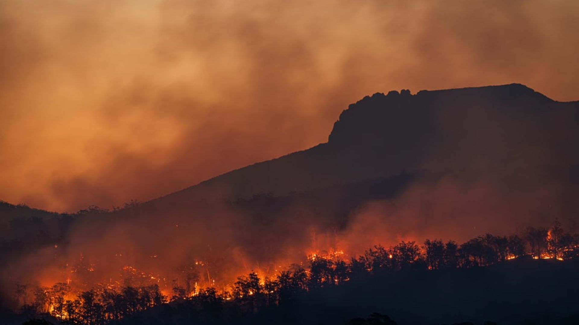 New research reveals that wildfires can influence El Niño