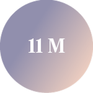11 M