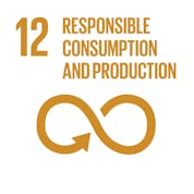Responsible consumption and production