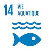 Vie aquatique