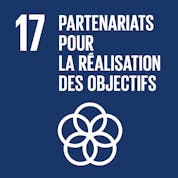 Partenariats pour la réalisation des objectifs