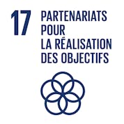 Partenariats pour la réalisation des objectifs