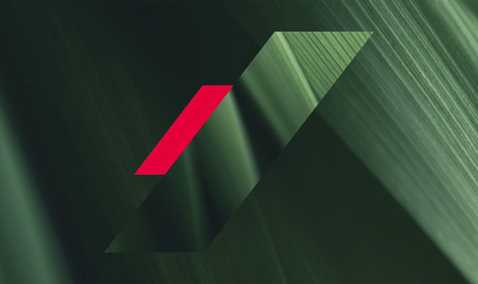 Full Year 2025 Earnings