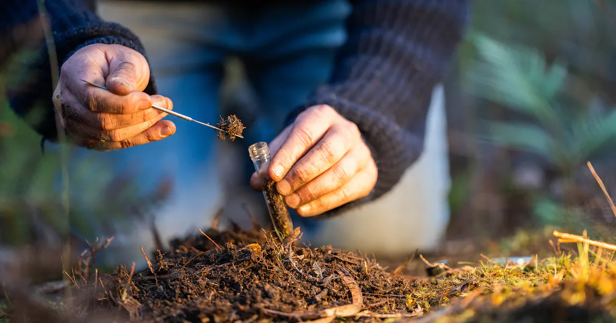 AXA and VINCI co-sponsored Vivae's manual, highlighting soils as a strategic resource for climate, biodiversity, and economic resilience.
