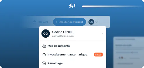 L'investissement automatique sur Bricks