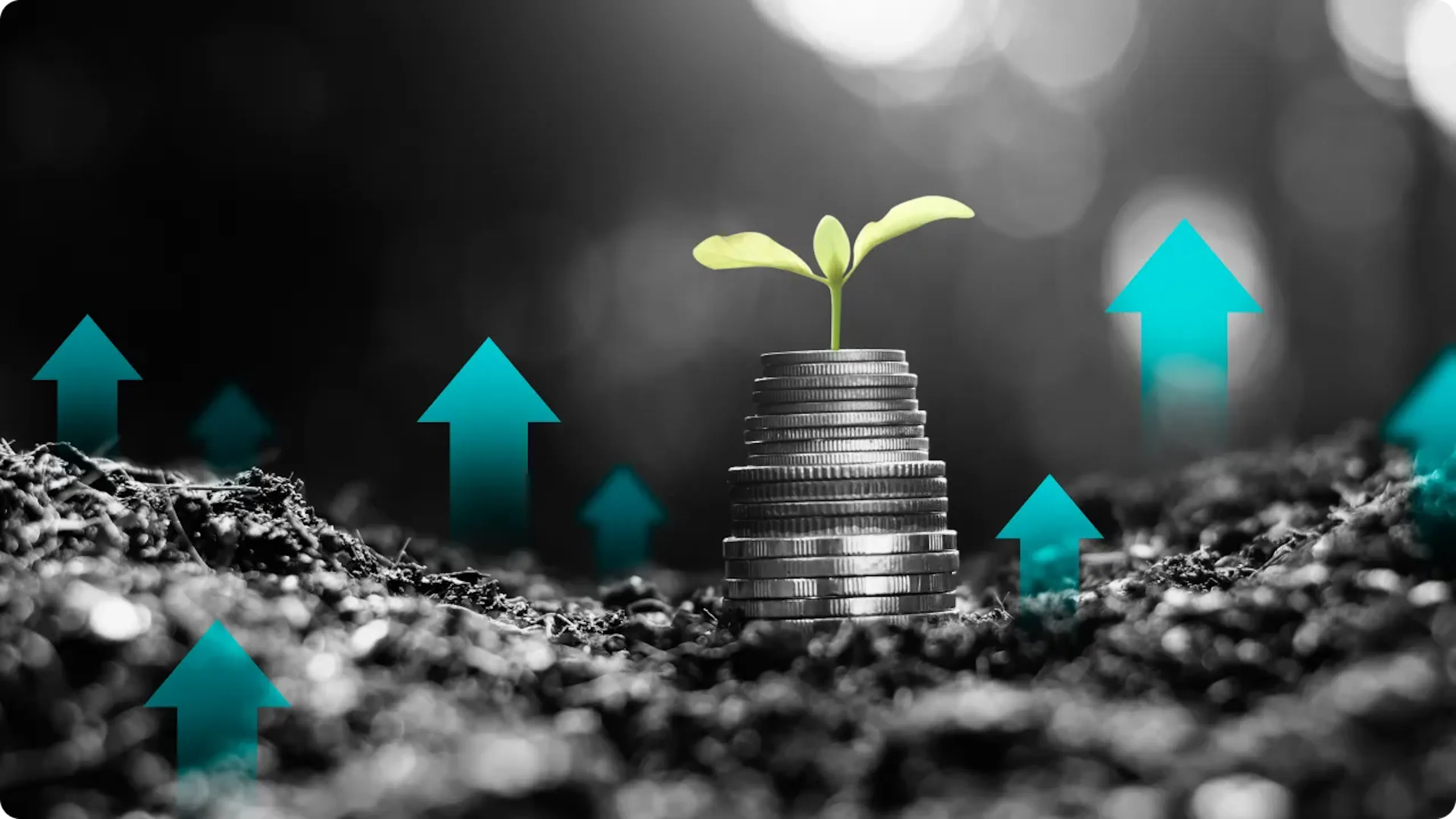 Les effets du réinvestissement automatique des intérêts