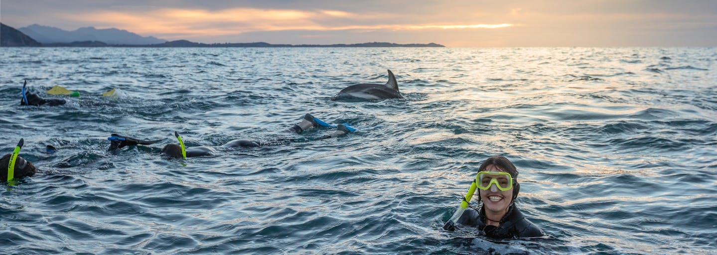 Woman snorkelling in New Zealand with dolphins.