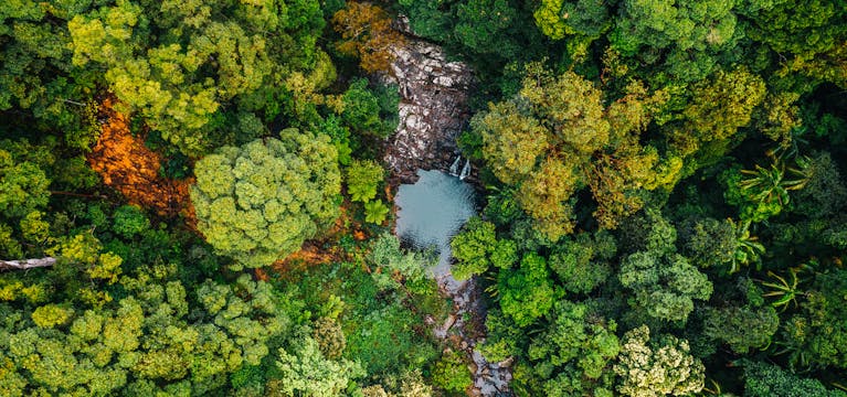 Aerial view of the rock pools in Currumbin Valley, Queensland.