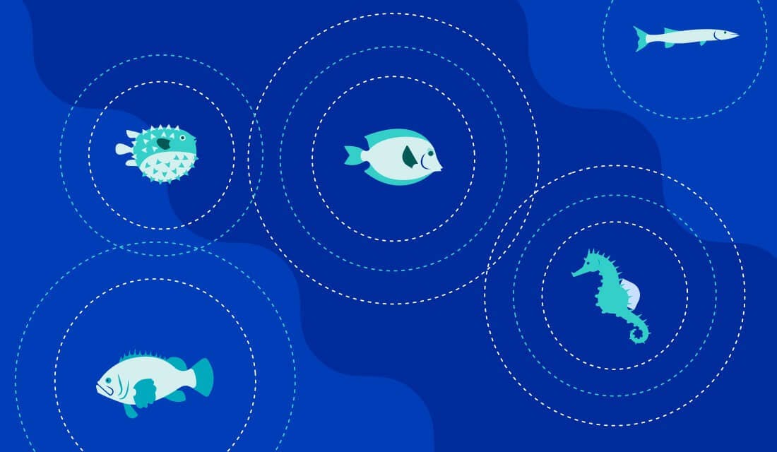 Improve the performance of your streaming application | DigitalOcean