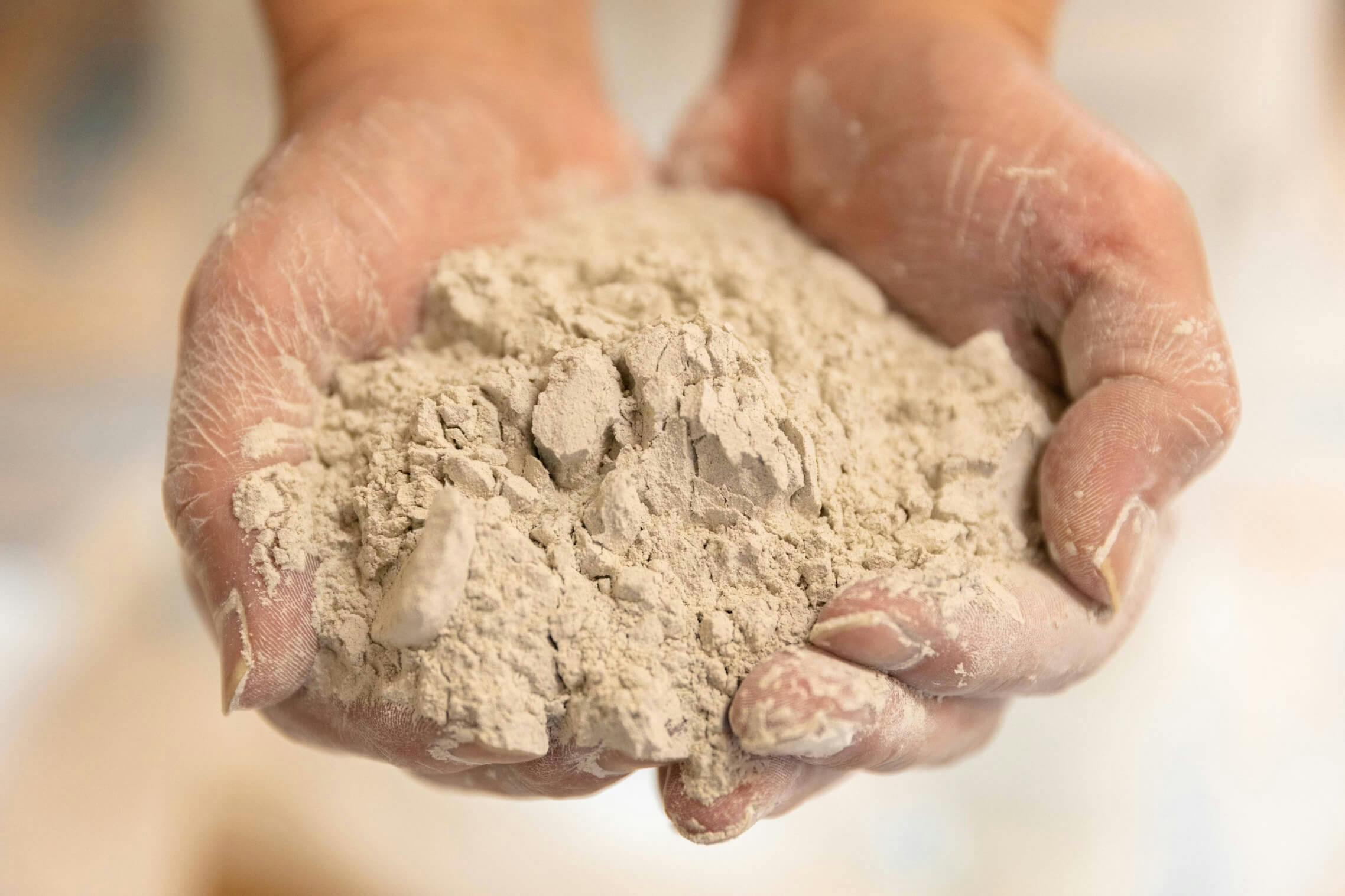 大気中のCO2を固定した後、適正な処理を経て生成されるタケサイトCCU粉末