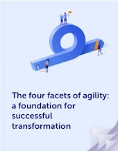Book cover for the four facets of agility ebook