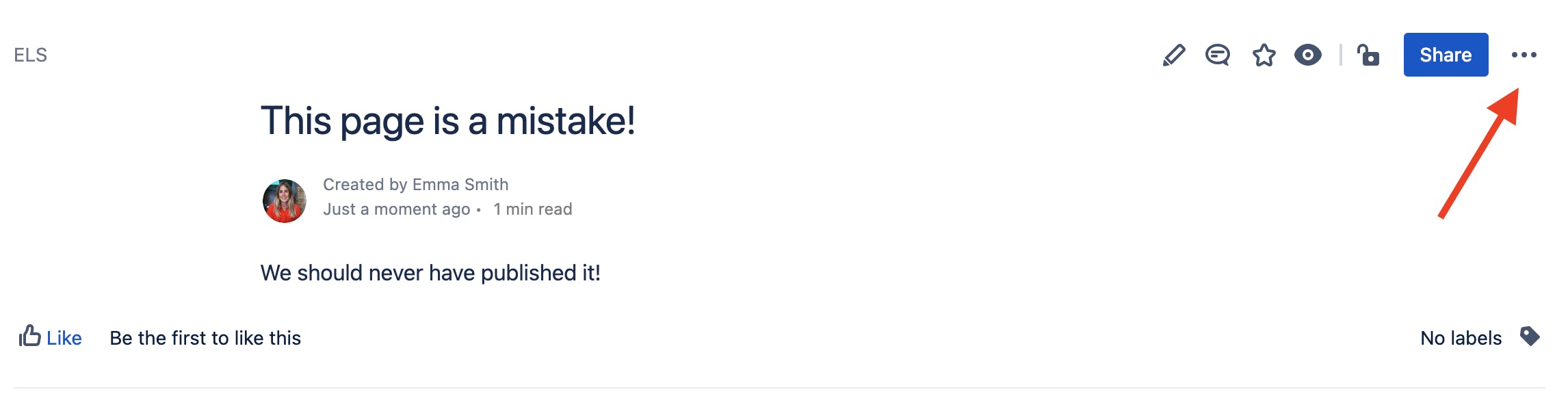 Screenshot of a text box within Confluence