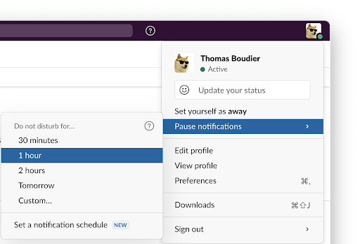 Pause Slack notifications screenshot